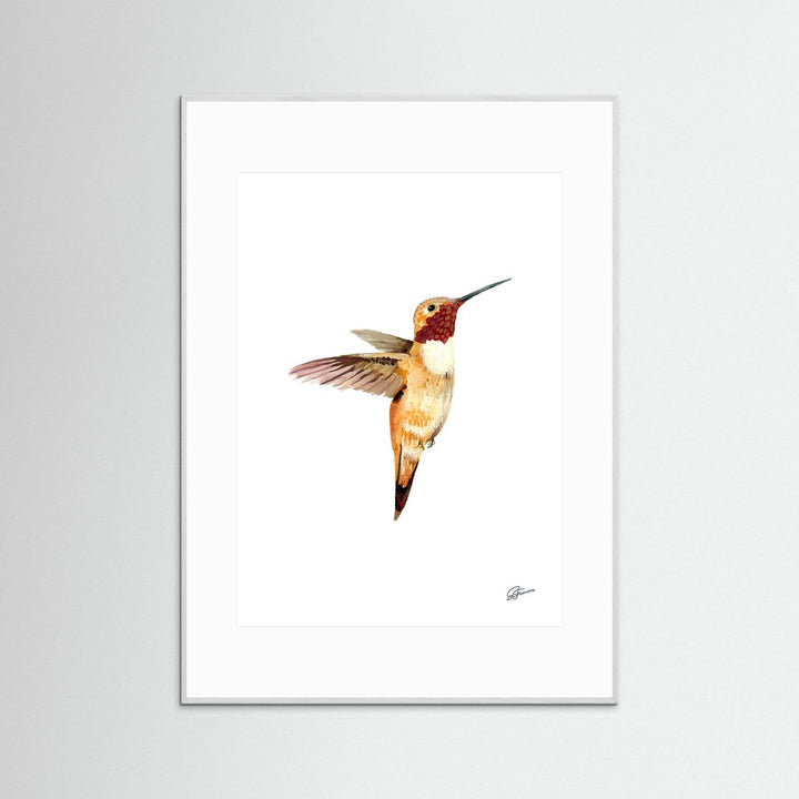 Flight of Elegance Hummingbird | Fine Art Print