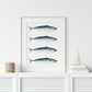 4 Mackerels  in portrait, white background, light wood frame, on a white  shelf with a  wall