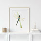 Dragonfly Reflection Fine Art Print